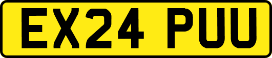 EX24PUU