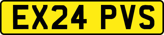 EX24PVS