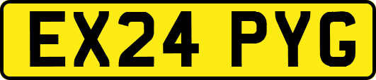 EX24PYG