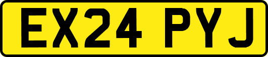 EX24PYJ