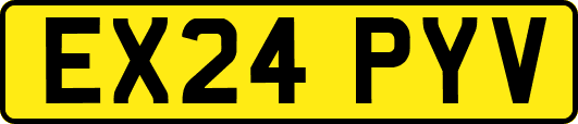 EX24PYV