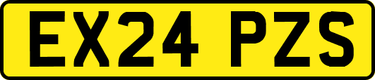 EX24PZS