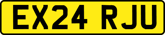 EX24RJU