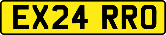 EX24RRO