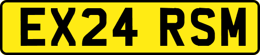 EX24RSM