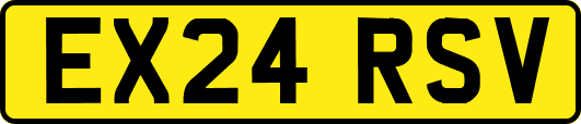 EX24RSV