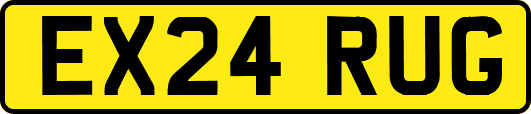 EX24RUG
