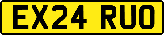 EX24RUO