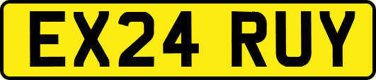 EX24RUY