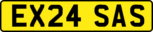 EX24SAS