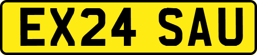 EX24SAU