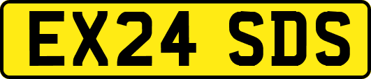 EX24SDS