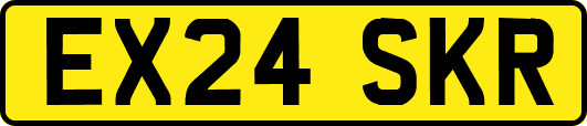 EX24SKR