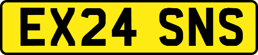 EX24SNS