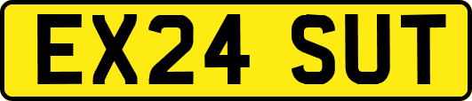 EX24SUT