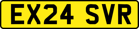 EX24SVR