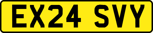 EX24SVY