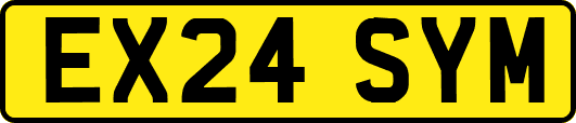 EX24SYM