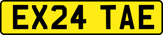 EX24TAE