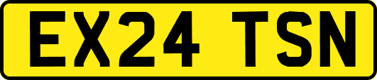 EX24TSN