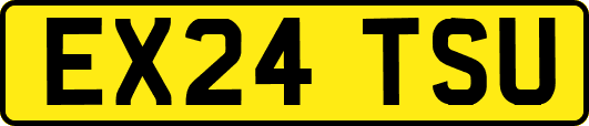 EX24TSU