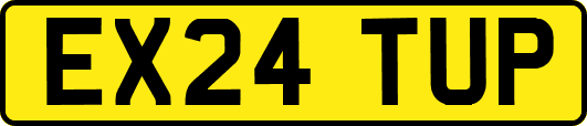 EX24TUP