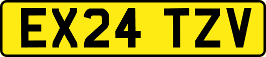 EX24TZV