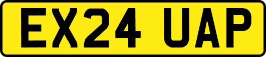 EX24UAP