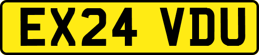 EX24VDU