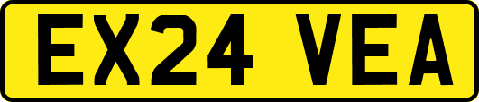 EX24VEA