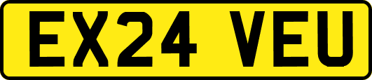 EX24VEU
