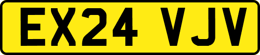 EX24VJV