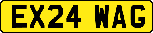 EX24WAG