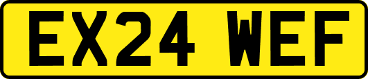 EX24WEF