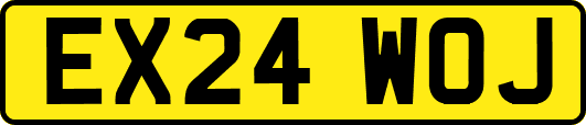 EX24WOJ