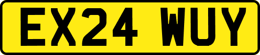EX24WUY