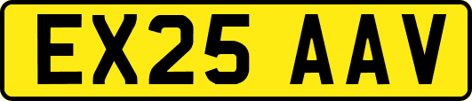 EX25AAV