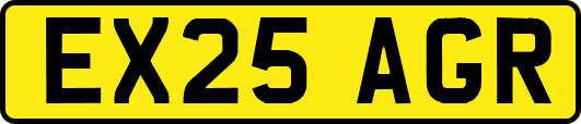 EX25AGR