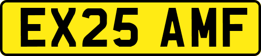 EX25AMF