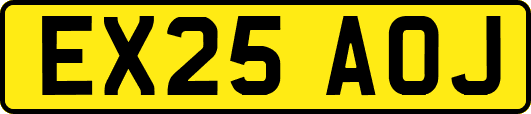 EX25AOJ