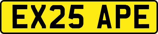 EX25APE