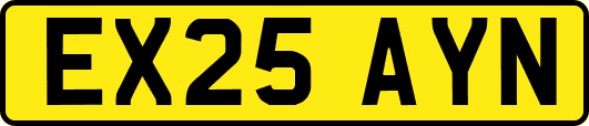 EX25AYN