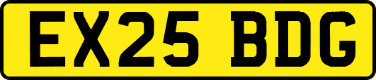 EX25BDG