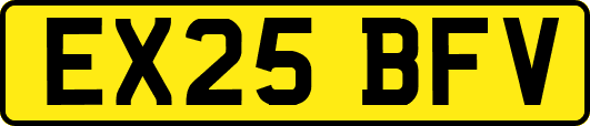 EX25BFV