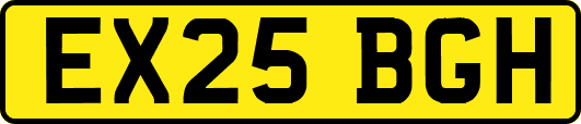 EX25BGH