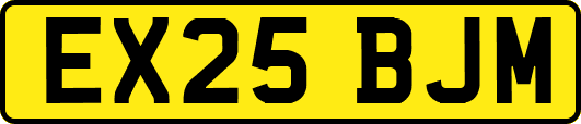 EX25BJM