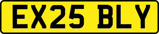 EX25BLY