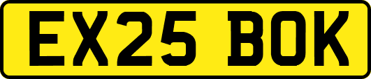 EX25BOK