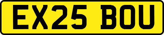 EX25BOU