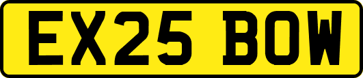 EX25BOW